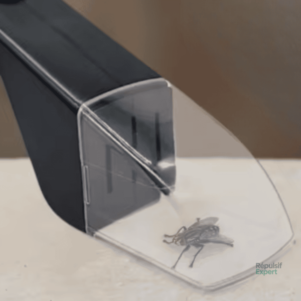 Outil pratique pour éliminer les insectes en toute sécurité