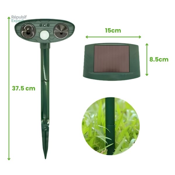 Répulsif SQRLock™ pour Protéger Votre Jardin des Écureuils
