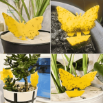 Solution efficace contre les moucherons pour vos plantes d'intérieur